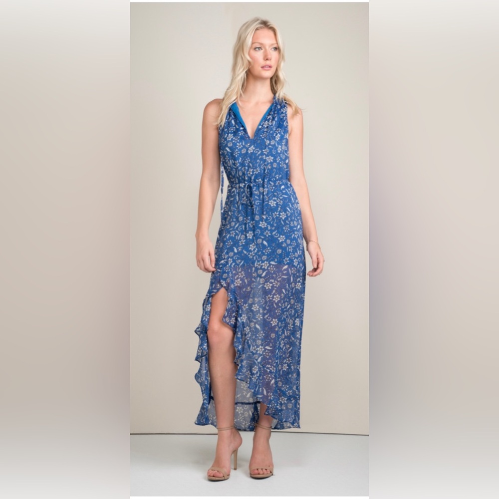 Greylin melody print maxi dress